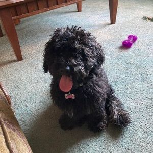 Meet your Posher, Kathy